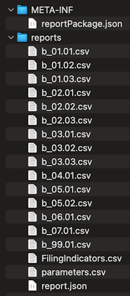 Contents of a DORA Register of Information zip package
